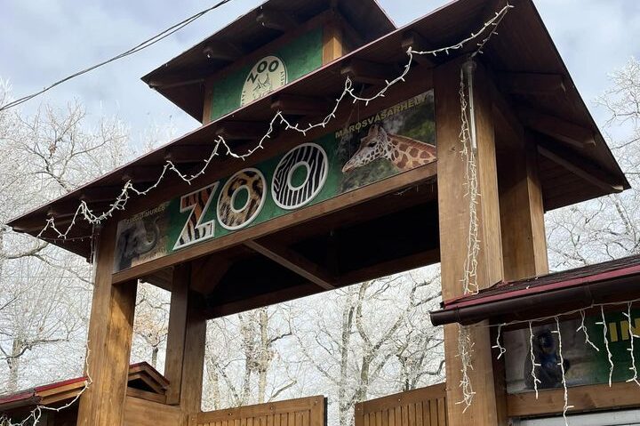 Noi reptile în Casa Tropicală de la Zoo Târgu Mureș Noi reptile în Casa Tropicală de la Zoo Târgu Mureș