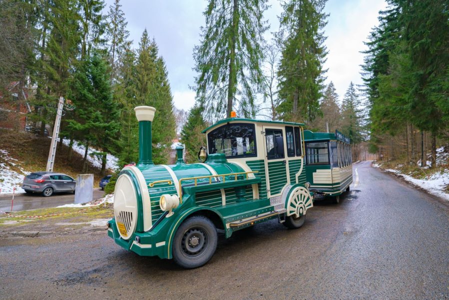 Trenuleţul turistic Sepsi Tour din Sfântu Gheorghe şi-a reluat cursele