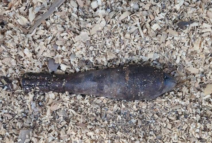 Bombă din al Doilea Război Mondial, găsită de un bărbat într-un pârâu, în județul Harghita