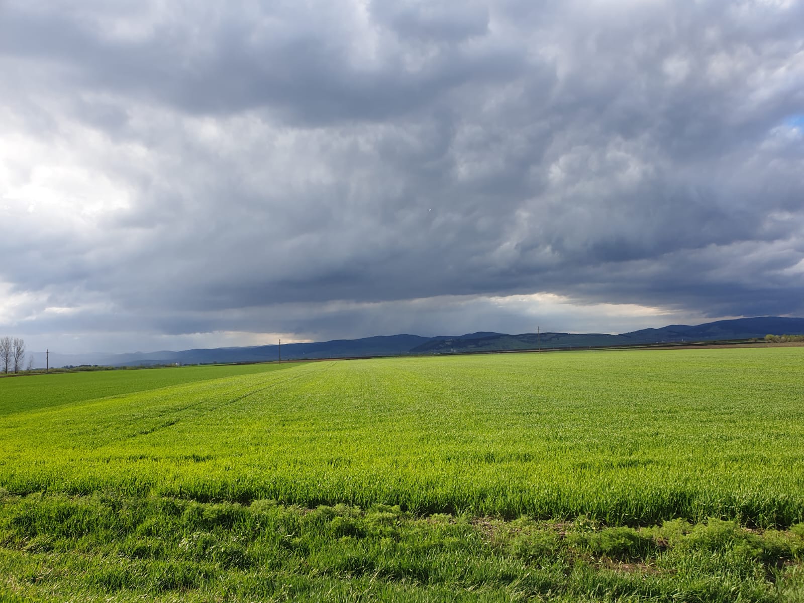 Cod galben de vreme instabilă în Transilvania, Crişana, Maramureş, şi zonele montane Cod galben de vreme instabilă în Transilvania, Crişana, Maramureş, şi zonele montane