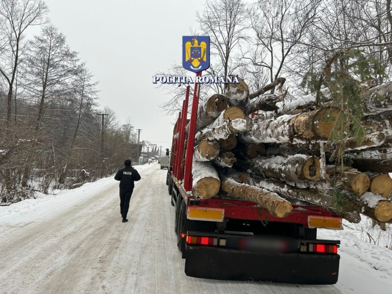 Bărbat din Ibănești, reținut pentru furt și tăiere ilegală de arbori Bărbat din Ibănești, reținut pentru furt și tăiere ilegală de arbori