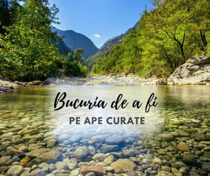 Bucuria de a fi | Ape Curate