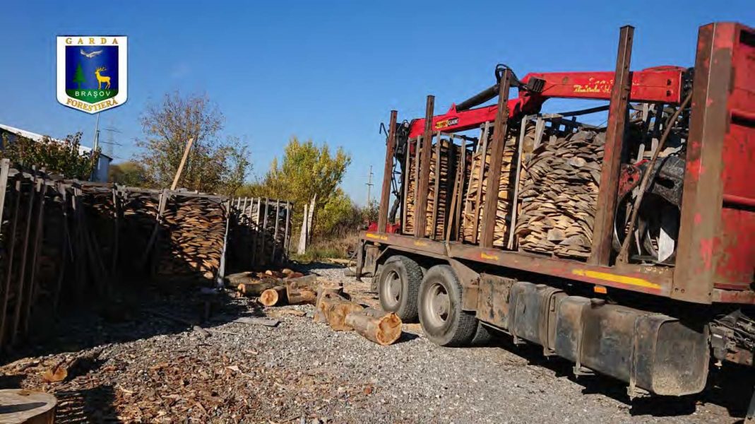 Misiuni ale jandarmilor mureșeni în baza Planului de acțiune “Scutul Pădurii”
