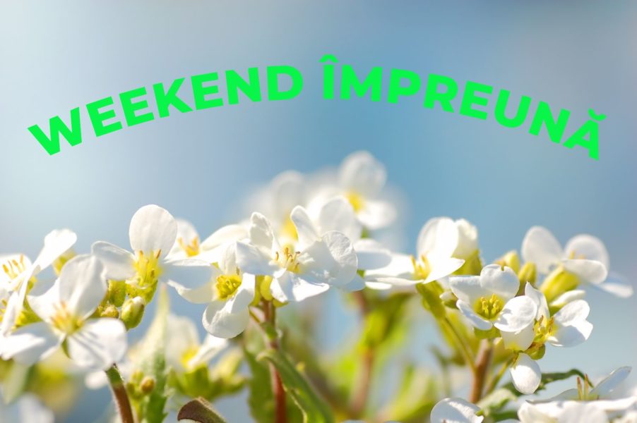 „Weekend împreună”, cu Veronica Ilie