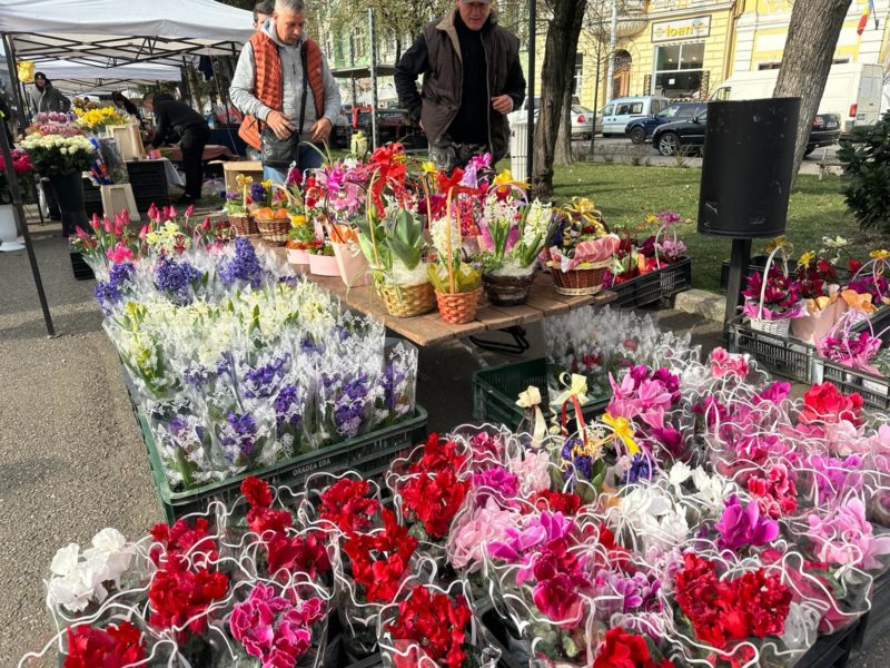 De 8 Martie, Târgu Mureșul este inundat de flori