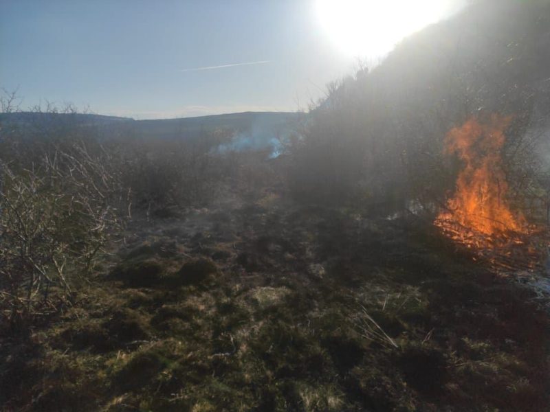 Noi incendii de vegetație uscată în Mureș și Harghita Noi incendii de vegetație uscată în Mureș și Harghita