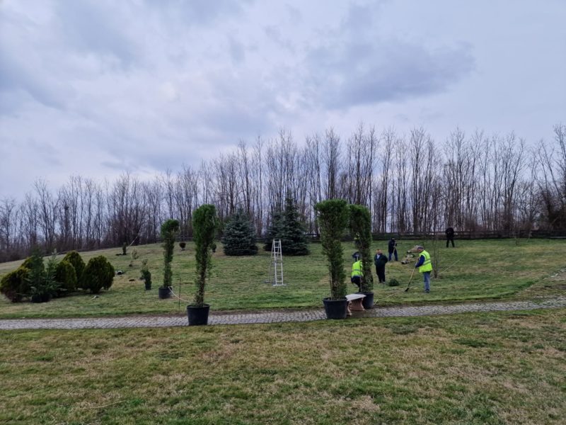 Primăria Ciugud, începe ‘plantarea celui mai spectaculos parc din mediul rural’ din România Primăria Ciugud, începe ‘plantarea celui mai spectaculos parc din mediul rural’ din România