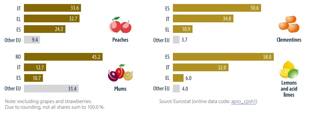În UE, România ocupă locul întâi la producţia de prune