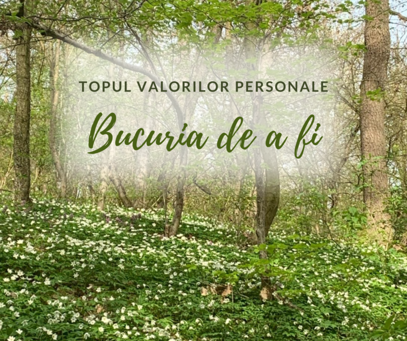 Bucuria de a fi | Topul valorilor personale