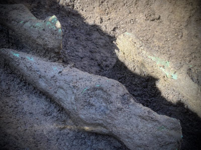 Descoperire arheologică importantă în judeţul Mureş Descoperire arheologică importantă în judeţul Mureş
