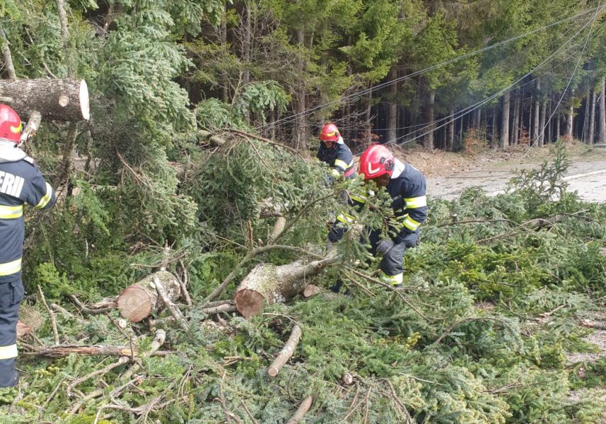 Blocaje în trafic și întreruperi de curent, în Harghita, din cauza furtunii