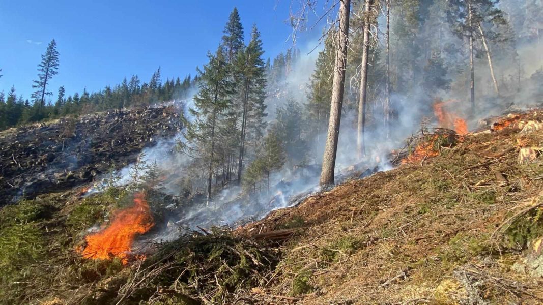 Incendiu de vegetație uscată, în comuna Tulgheș, sat Hagota