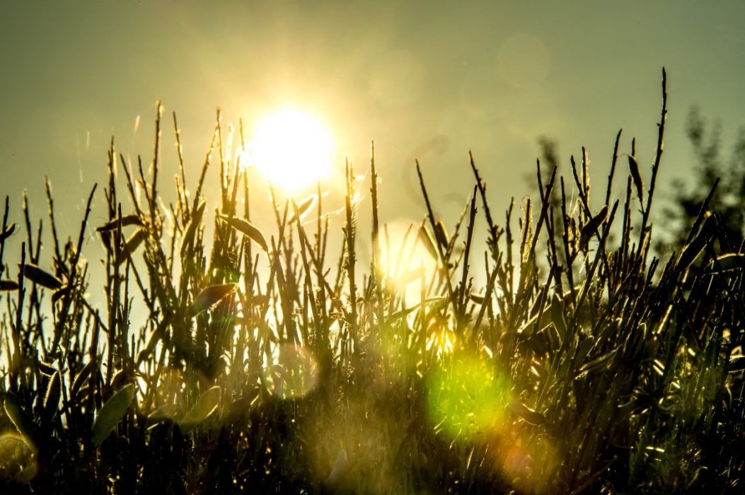 2024 a fost primul an în care încălzirea globală a depăşit 1,5 grade Celsius, spun oamenii de ştiinţă