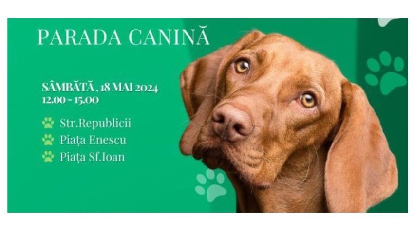 Parada Canină, la Brașov, pentru conștientizarea importanţei adopţiei de câini Parada Canină, la Brașov, pentru conștientizarea importanţei adopţiei de câini