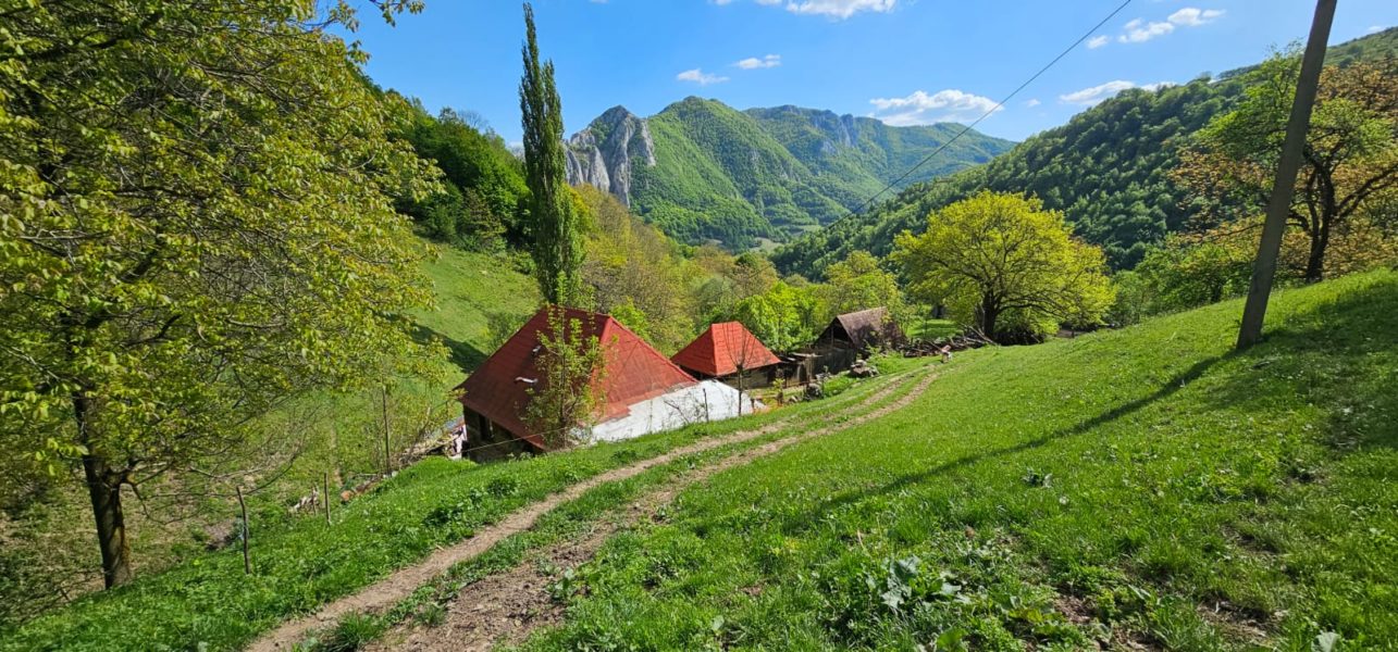 Bucuria de a fi | Viața la țară