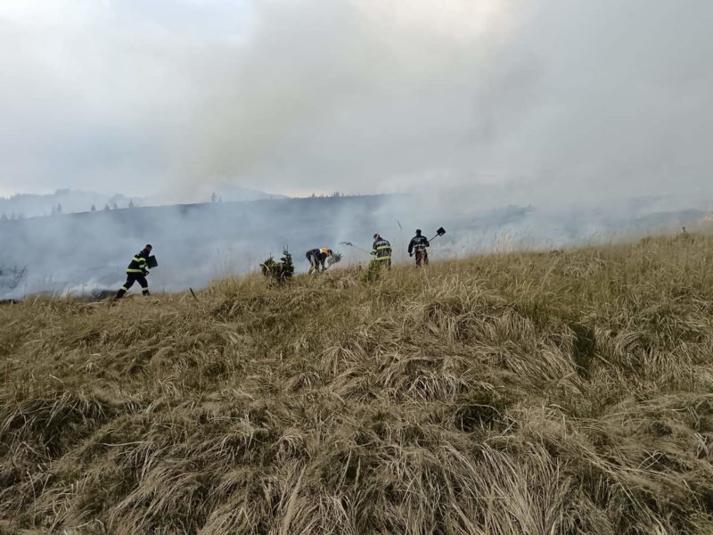 Incendiu de vegetație uscată, lângă Toplița