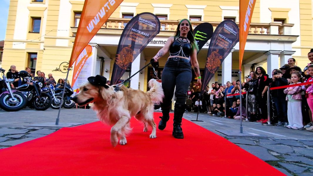 Sibiu: Peste 200 de iubitori de animale şi tatuaje, la prima paradă a căţeilor din oraş Sibiu: Peste 200 de iubitori de animale şi tatuaje, la prima paradă a căţeilor din oraş
