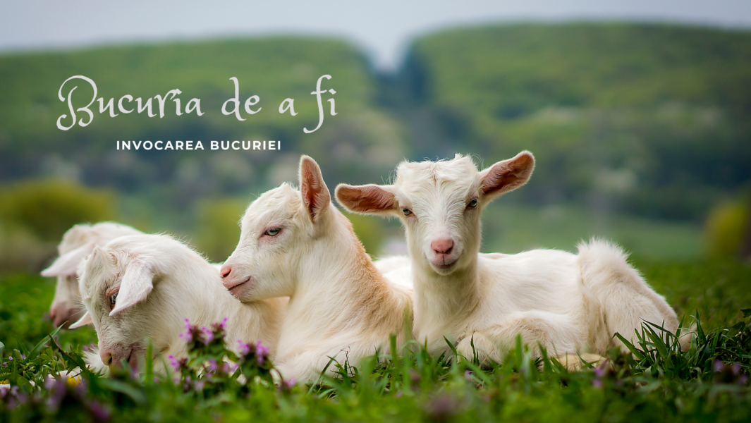 Bucuria de a fi | Invocarea bucuriei