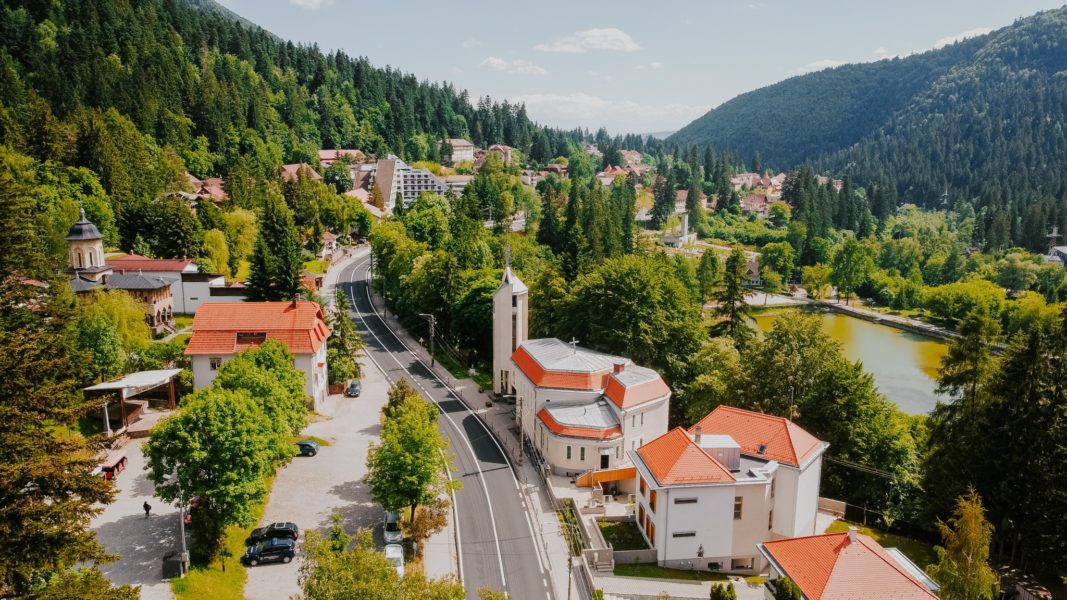 Conferinţă ştiinţifică, festival şi expoziţie de artă dedicate coexistenţei dintre oameni şi urşi, la Băile Tuşnad