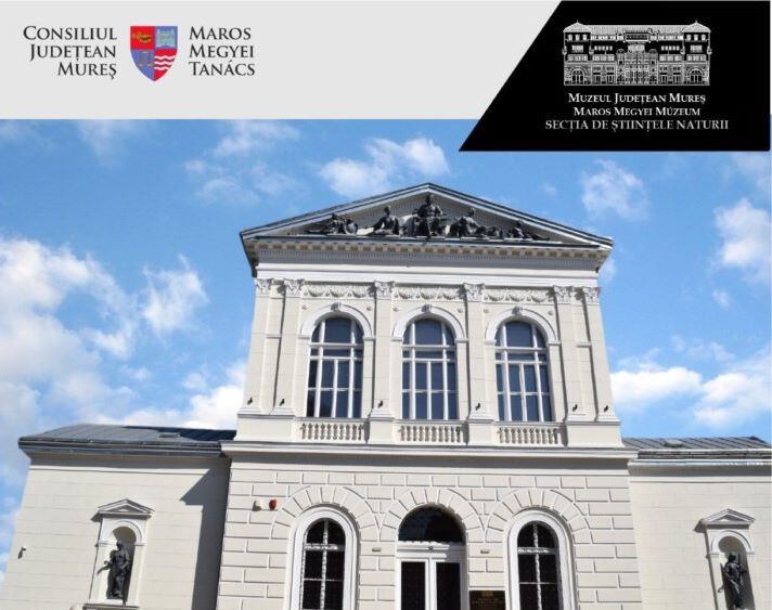 Conferință despre valorificarea patrimoniului cultural, la Muzeul Județean Mureș
