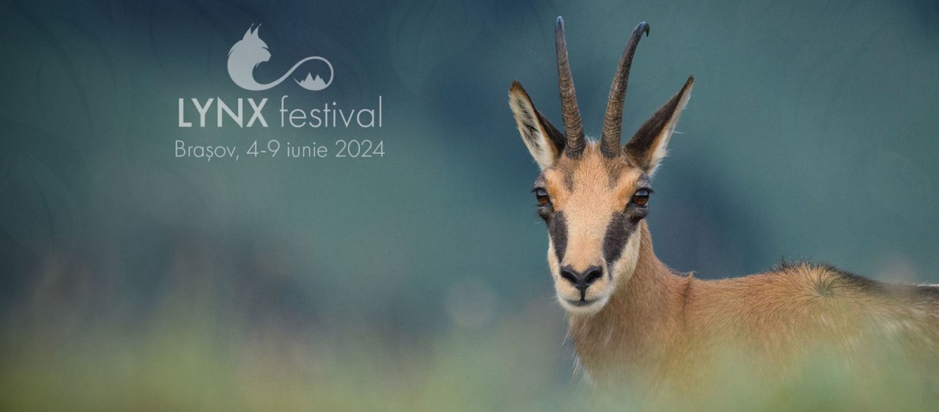 O nouă ediție Linx Festival, la Brașov
