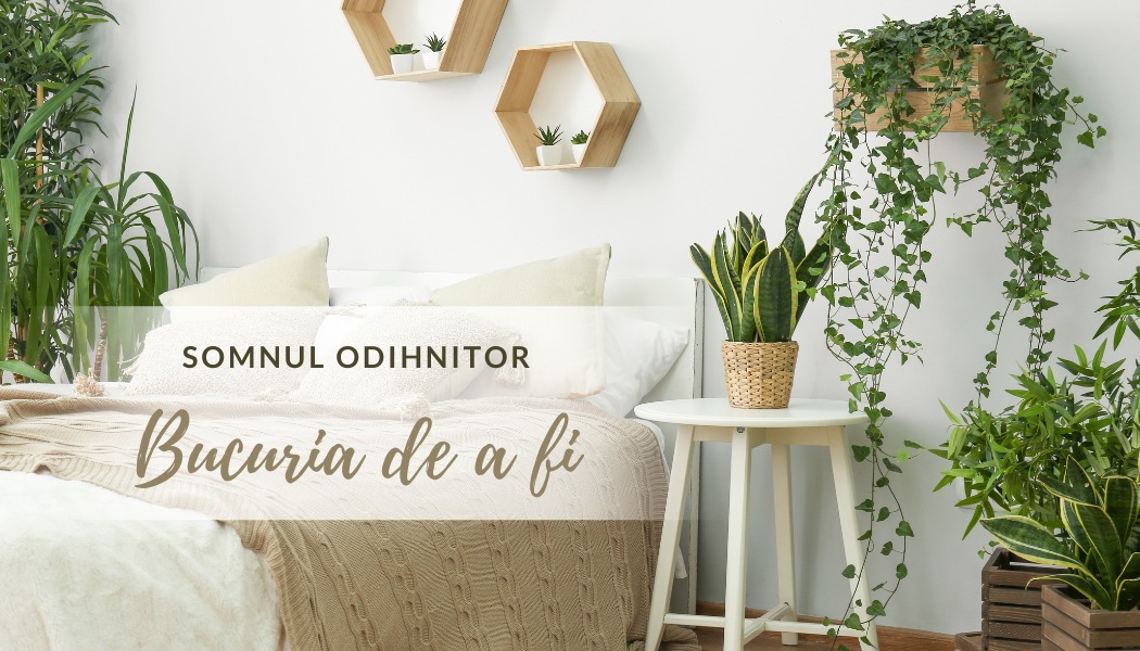 Bucuria de a fi | Somnul odihnitor