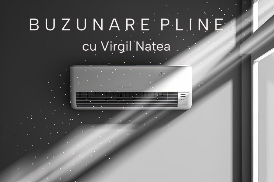 Ventilatoarele și aparatele de climatizare sunt cele mai căutate în perioada caniculară Ventilatoarele și aparatele de climatizare sunt cele mai căutate în perioada caniculară