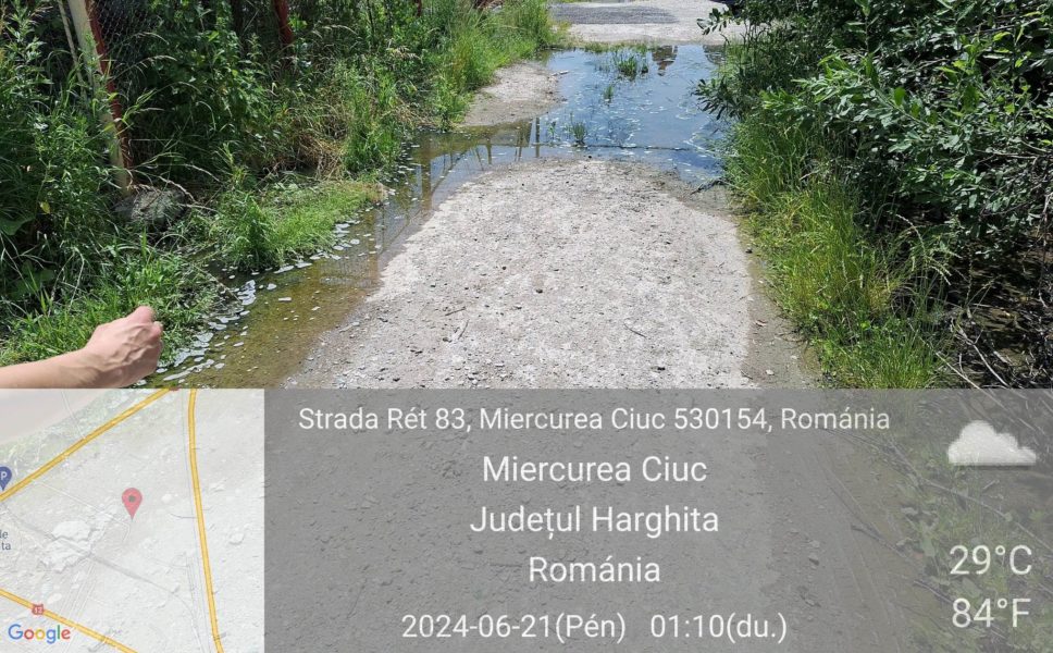 Spălătorie de covoare din Miercurea-Ciuc, amendată pentru că funcţiona fără autorizaţie şi deversa ape uzate într-un pârâu