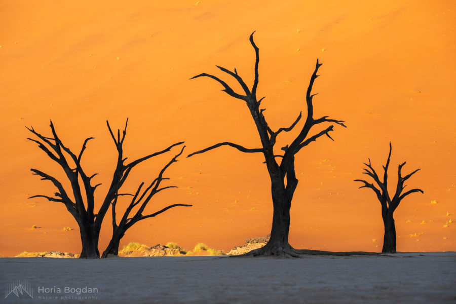 Bucuria de a fi | Călător în Namibia (partea 1)