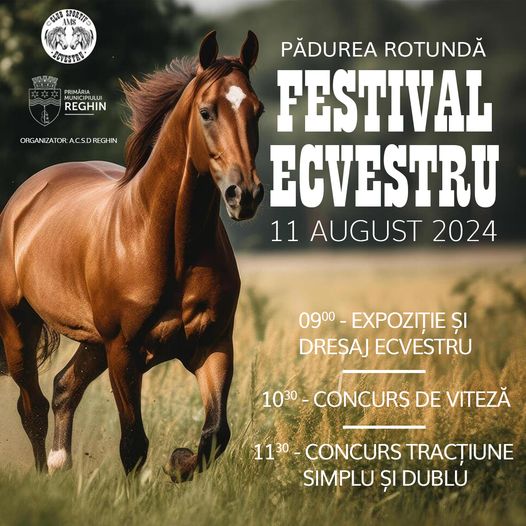 Primul Festival Ecvestru la Reghin Primul Festival Ecvestru la Reghin