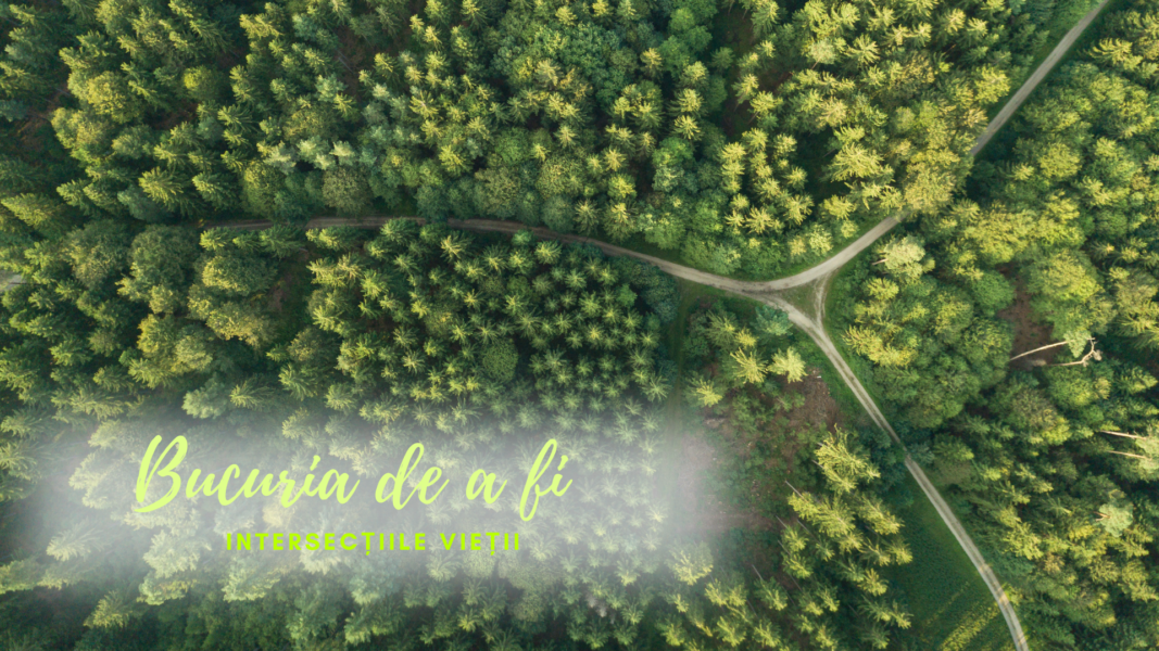Bucuria de a fi | Interdicțiile vieții