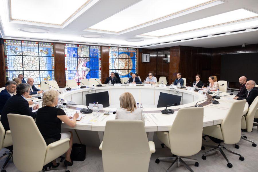 Guvernul va avea consultări cu reprezentanții persoanelor cu dizabilități pentru o lege dedicată pensionarilor din această categorie socială