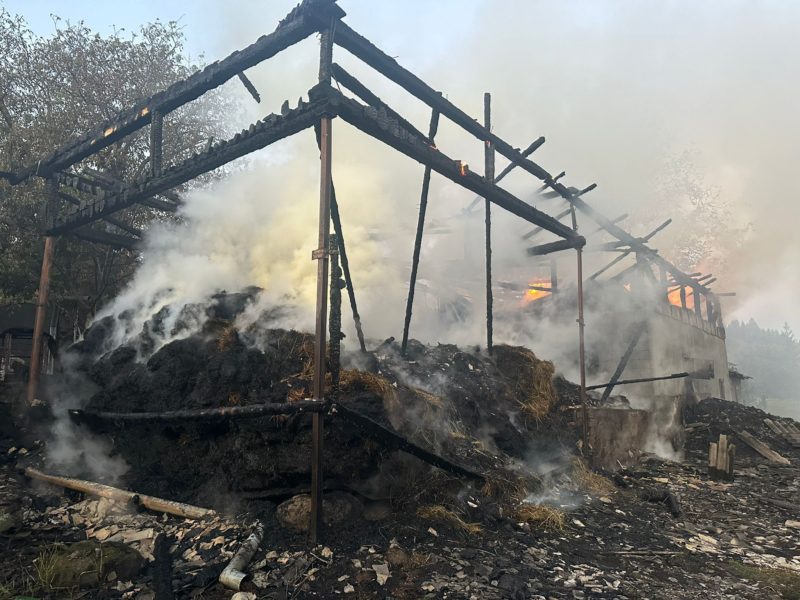 Incendiu izbucnit la o anexă gospodărească, în localitatea Ibănești, Parau Mare Incendiu izbucnit la o anexă gospodărească, în localitatea Ibănești, Parau Mare