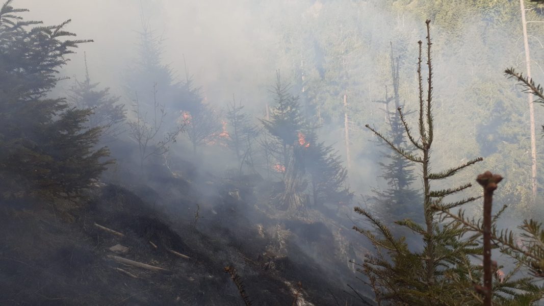 UPDATE: Harghita: Incendiu la o păşune împădurită din Valea Strâmbă