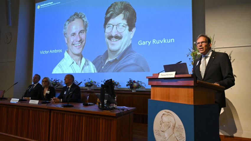 Premiul Nobel pentru Fiziologie sau Medicină 2024 Premiul Nobel pentru Fiziologie sau Medicină 2024