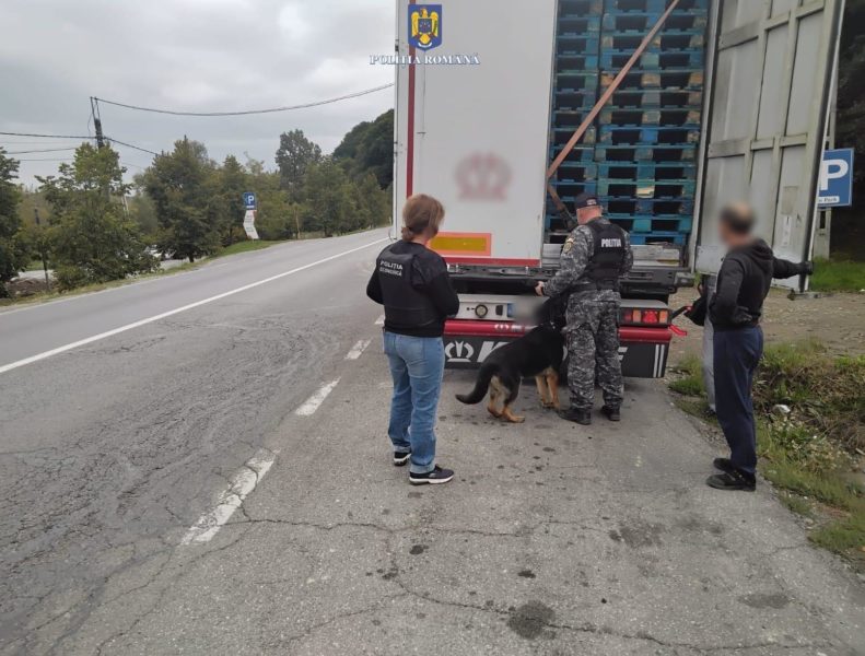 Acţiune cu forţe mărite a poliţiştilor în Miercurea-Ciuc, Gheorgheni, Odorheiu Secuiesc şi Topliţa