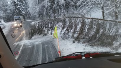 Arbori doborâţi şi elemente de acoperiş smulse de vânt, degajate de pompieri în mai multe localităţi din Brașov
