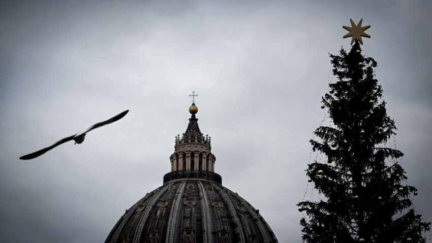 Petiţie împotriva bradului de Crăciun de la Vatican Petiţie împotriva bradului de Crăciun de la Vatican