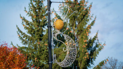 Primăria Sfântu Gheorghe închiriază decoraţiunile de sărbători