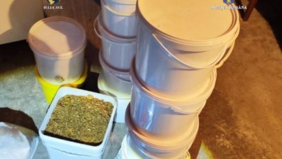 Sibiu: Şapte persoane cercetate pentru trafic de droguri şi operaţiuni cu produse psihoactive