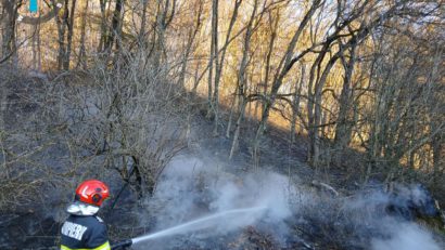 Incendiu de vegetație în localitatea mureșeană Apold