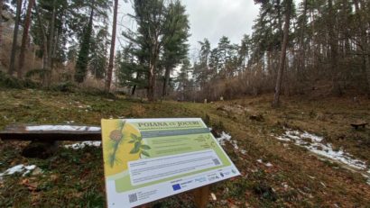 La Poiana cu jocuri din Râșnov natura se descoperă într-un mod inedit