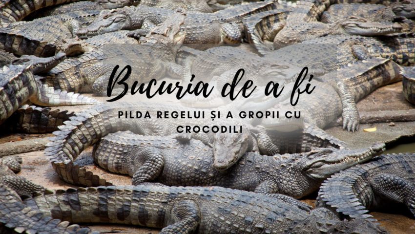 Bucuria de a fi | Pilda regelui și a gropii cu crocodili Bucuria de a fi | Pilda regelui și a gropii cu crocodili