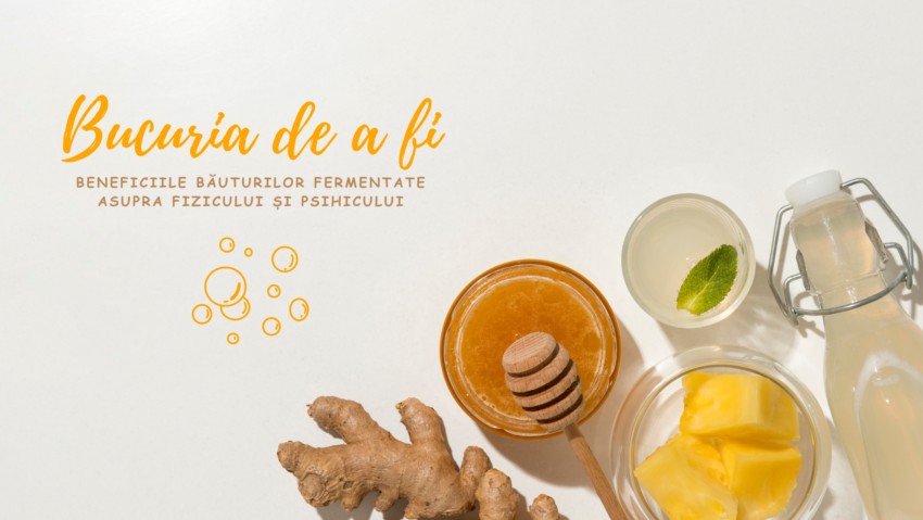 Bucuria de a fi | Băuturile fermentate