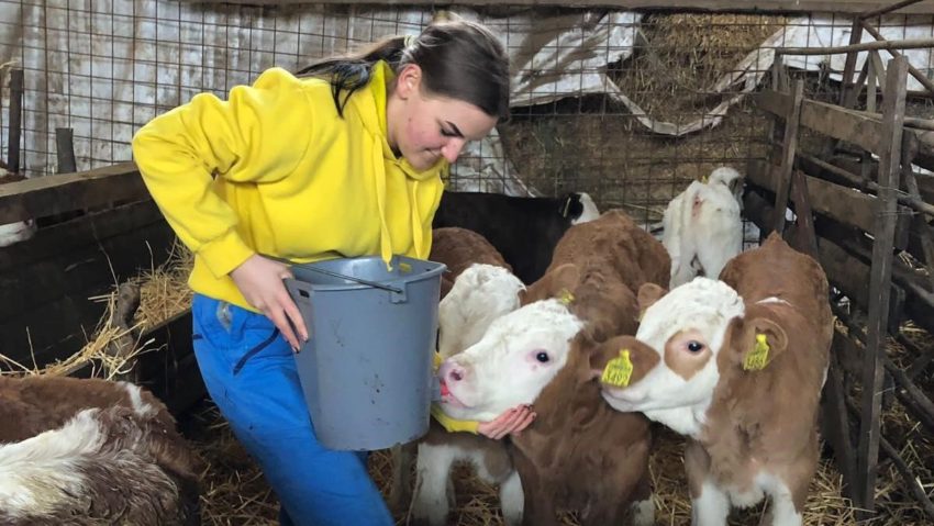 Proiect de practică în ferme pentru elevii liceelor agricole Proiect de practică în ferme pentru elevii liceelor agricole