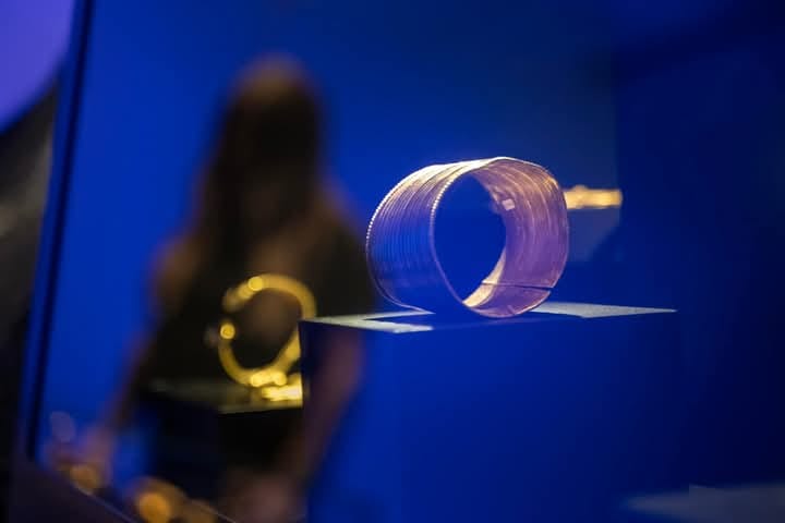 Corpul de Control al premierului a descoperit nereguli şi neglijenţă în organizarea expoziţiei de la Muzeul Drents Corpul de Control al premierului a descoperit nereguli şi neglijenţă în organizarea expoziţiei de la Muzeul Drents