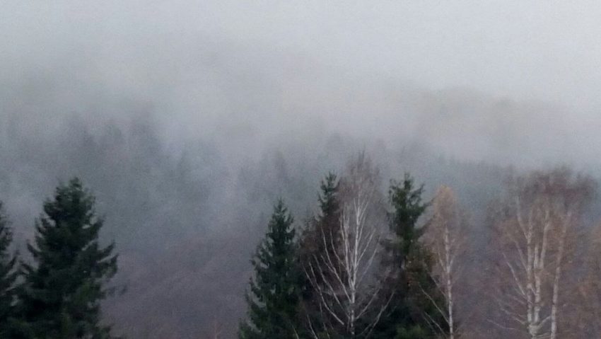 Cod galben de ceaţă şi polei în zone din 27 judeţe şi în municipiul Bucureşti