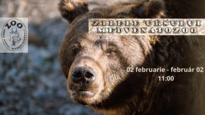 Grădina Zoologică Târgu Mureș organizează Zilele Ursului