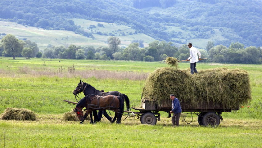 S-a lansat proiectul FarmBioNet