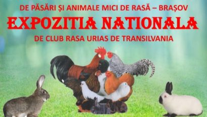 Expoziţie de păsări şi animale de rasă, la Râşnov